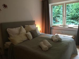 哈里斯莱Pier39 Ferienwohnung Wassersleben Flensburg的相册照片