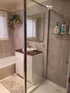 莱克斯恩特伦斯Abalone Guest Accommodation的带淋浴、水槽和镜子的浴室