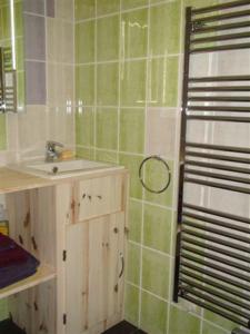 布尔日瑞维兰迪住宿加早餐旅馆的绿色瓷砖浴室设有水槽和镜子