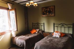 兰哈龙Lanjarón Rural Apartamentos的一间卧室设有两张单人床和一个窗户。
