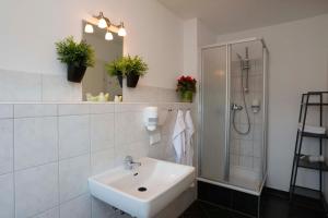萨尔茨堡Apartments Ante Portas的白色的浴室设有水槽和淋浴。