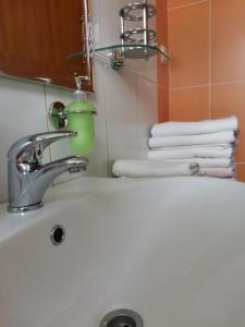 BreginjApartment Lošč - Podbela的一间带水槽和一些毛巾的浴室