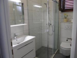 波达卡Villa Falcon的带淋浴、盥洗盆和卫生间的浴室