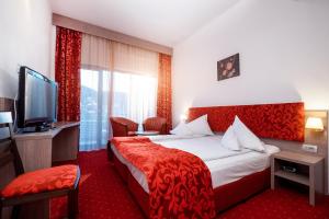 百乐·奥拉内斯蒂Hotel Tisa的配有一张床和一台平面电视的酒店客房