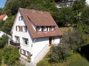 特里贝格Ferienhaus Kroneck的山坡上一座白色房子,屋顶红色