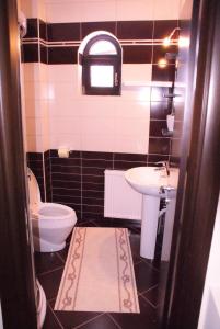 博尔沙Hotel Victoria的一间带卫生间和水槽的浴室