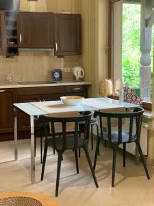 Niemcz维塔公寓的厨房配有桌子、两把椅子和一张桌子