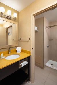 温莎Quality Inn & Suites Downtown Windsor, ON, Canada的一间带水槽和淋浴的浴室