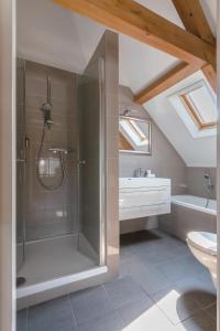 阿布考德Abbey Abcoude的带淋浴、盥洗盆和卫生间的浴室