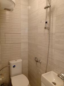 索非亚Valentina Bg Apartment的带淋浴、卫生间和盥洗盆的浴室