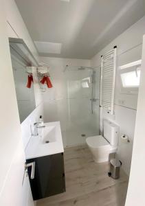 桑提亚纳德玛La Fragua的白色的浴室设有水槽和卫生间。