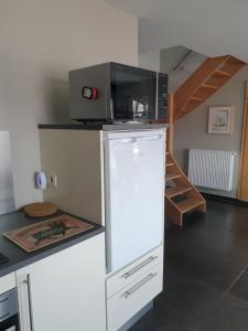 弗朗科尔尚里曼冈公寓的厨房配有冰箱上方的微波炉