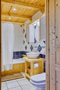 梅塔比耶Appartement privatif type chalet cosy et calme的一间带卫生间和水槽的浴室