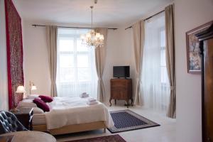 Napajedla扎马克拿巴达尔旅馆的一间卧室设有一张床、一台电视和一个窗口。