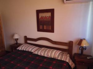 阿尔米隆温泉El Remanso De Almiron的一间卧室配有一张带铺着地毯的床和两盏灯。
