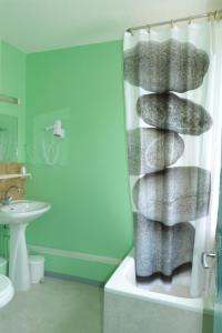 Champlitte-et-le-Prélot东荣酒店的带淋浴的浴室,配有毛巾架