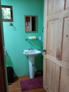 蒙泰韦尔德哥斯达黎加The Green Tree Lodge的一间带水槽、镜子和门的浴室