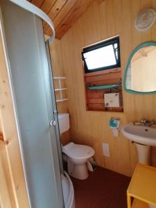 瓦济Bohema Osada的一间带卫生间和水槽的小浴室