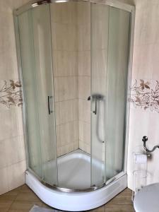 Chrzypsko WielkiePokoje z widokiem的浴室内带玻璃淋浴间
