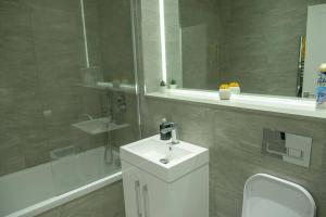 圣奥尔本斯Maplewood properties - St Albans one bedroom luxurious flat的浴室配有卫生间、盥洗盆和淋浴。