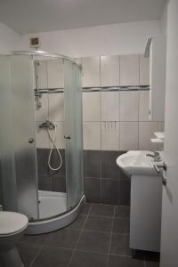 格雷巴蒂卡VILLA LAURA的带淋浴、卫生间和盥洗盆的浴室