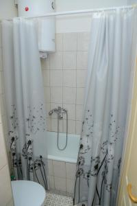 皮罗特Apartman Marija的带淋浴帘和卫生间的浴室