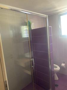 卡塔科隆Villa Evdokia的浴室设有玻璃淋浴间和卫生间