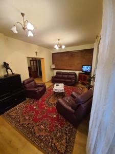 纳文丘夫Willa Widok的客厅配有皮革家具和红色地毯。