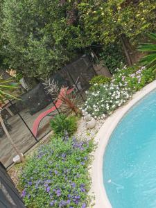 马赛APPARTEMENT EN SOUS SOL DE VILLA avec accès jardin et piscine的游泳池旁种有鲜花的花园