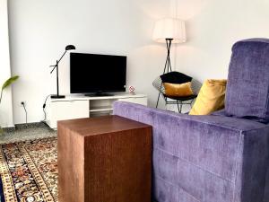 帕德隆Apartamento Padrón Centro, Camino De Santiago P1 UR的客厅配有紫色沙发和电视