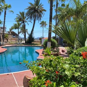 圣卡洛斯特塔卡维庄园酒店的一座种有棕榈树和鲜花的游泳池