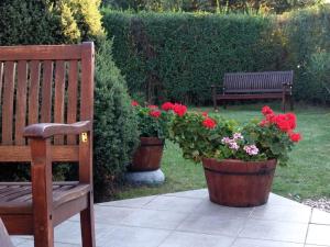 比克Erelia Cottage的花园里的两盆花和长凳