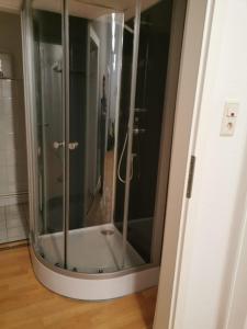 布伦瑞克Stay Inn Braunschweig的浴室里设有玻璃门淋浴