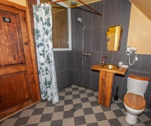 Pilsrundāle巴尔塔玛雅酒店的浴室配有卫生间、盥洗盆和淋浴。