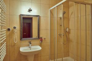 克拉科夫扎杰德斯雷布纳格拉酒店的浴室配有盥洗盆和带镜子的淋浴