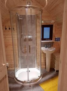 马汉莱斯Bwlcheinion Sea View Glamping的小屋内带淋浴和盥洗盆的浴室
