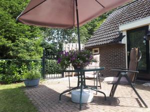 SchoonoordLasca的一个带遮阳伞和鲜花桌的庭院