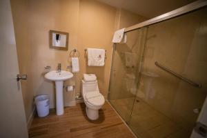 Los AlgodonesCalifornia Comfort & Suites的带淋浴、卫生间和盥洗盆的浴室