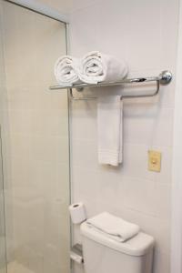 阿雷格里港Master Express Alberto Bins - 200 metros do Hospital Santa Casa的浴室配有淋浴和带毛巾的卫生间。