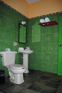 底拉斯卡拉波萨达香格里拉卡瑟纳科尔特斯精品酒店的绿色浴室设有卫生间和水槽