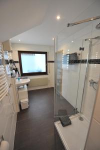 策尔廷根-拉蒂希艾赛斯餐厅酒店的带淋浴和盥洗盆的浴室