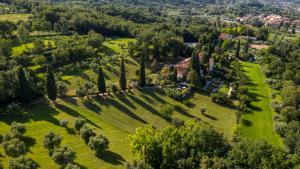萨罗博尔戈伊尔迈扎尼诺农家乐的树木林地房子的空中景观