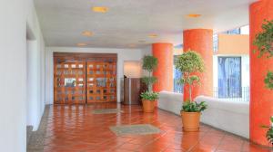 比亚埃尔莫萨比亚埃尔莫萨森卡里嘉年华酒店的大堂有橙色柱子,门有植物