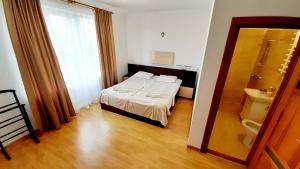 斯基希德尼萨Оселя Східниця的一间酒店客房 - 带一张床和一间浴室
