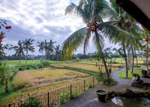 乌布绿地酒店的享有稻田和棕榈树的景色