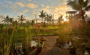 乌布绿地酒店的棕榈树和植物的花园,日落