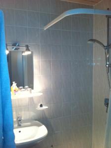 Kirchheim am Neckar乌尔曼斯霍夫旅馆的浴室配有盥洗盆和带镜子的淋浴