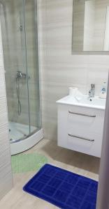 巴尔Apartman Savić的设有带水槽和淋浴的浴室以及蓝色地毯。