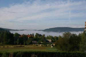 施卢赫湖维森格伦德膳食公寓酒店的远处有雾的田野的景色