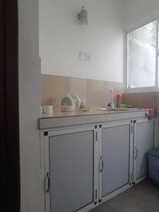 努格古达阿米沙山林小屋的厨房配有白色橱柜、水槽和窗户。